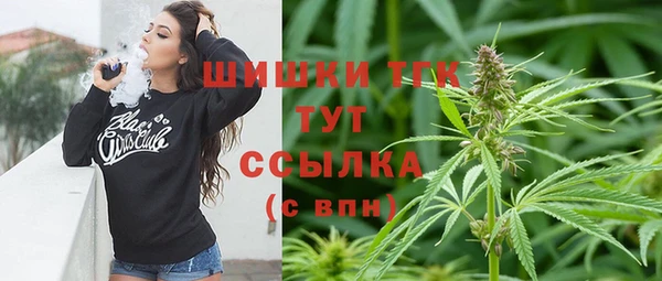 2c-b Дмитриев