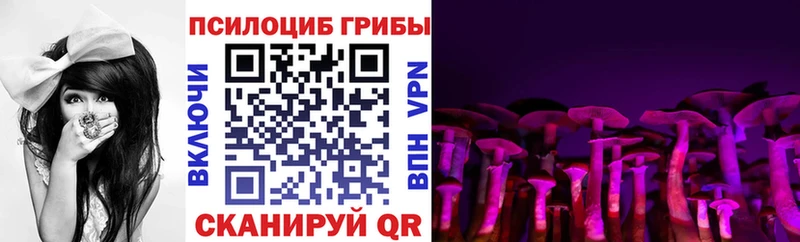 Галлюциногенные грибы Cubensis Тырныауз