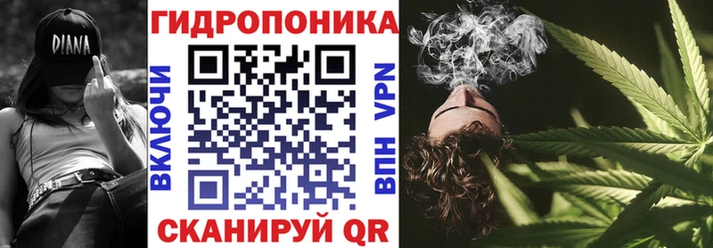 Каннабис планчик  Тырныауз 